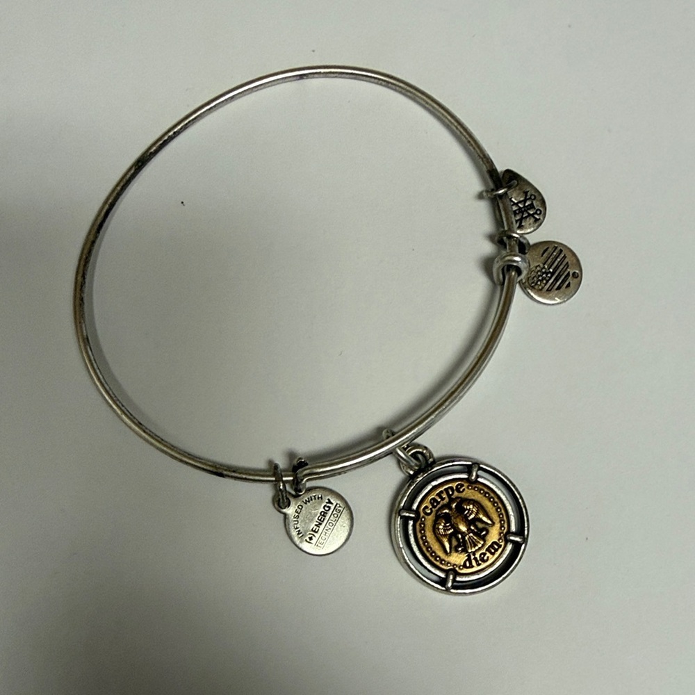 Alex And Ani 2019 Carpe Diem Stylish Silver and Gold Charm Bracelet